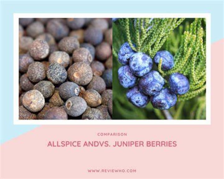 Can I use allspice instead of juniper berries