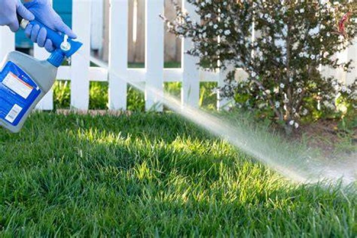 Does spraying your yard for ticks really work