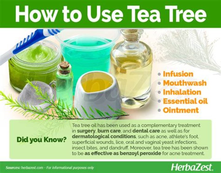 How do you apply tea tree oil to a dogs skin