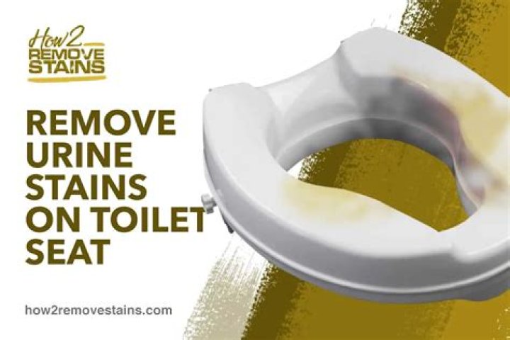 How do you get urine stains off a toilet seat