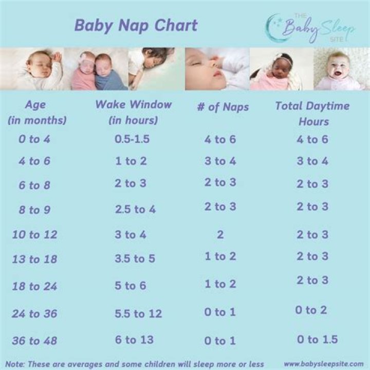 How long should an 11 month old nap at a time