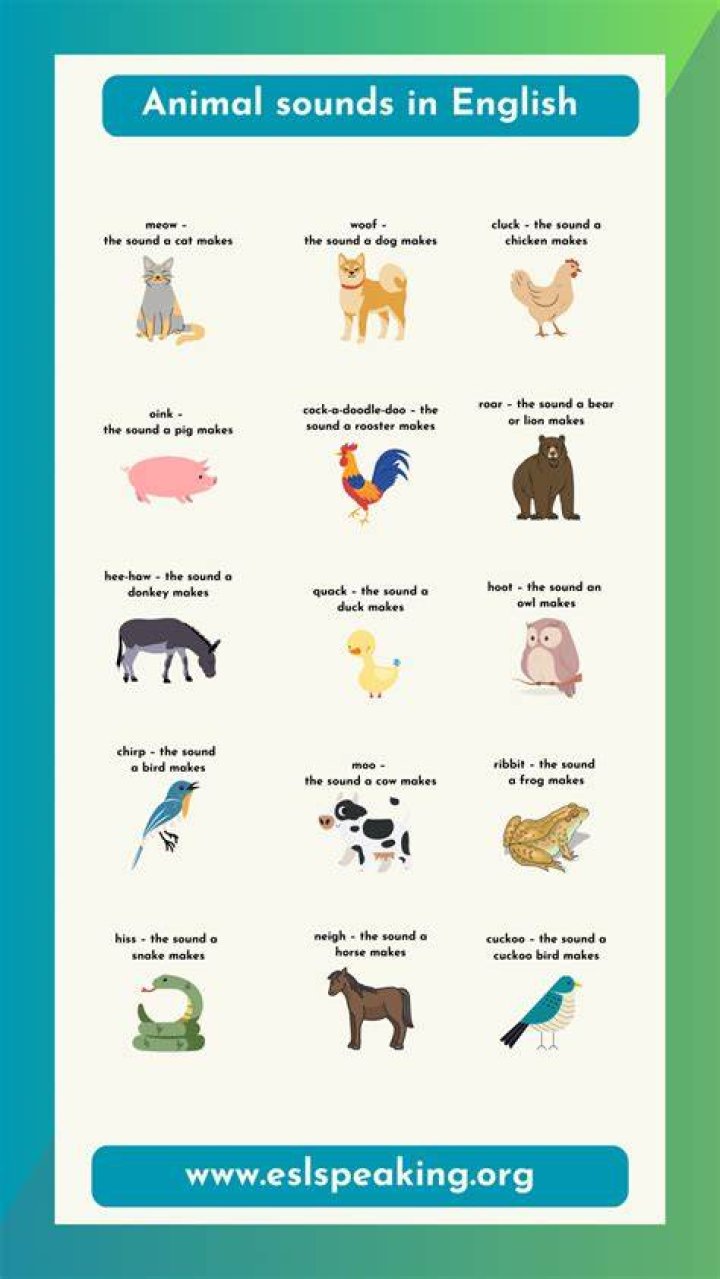 How many different sounds can gorilla produce