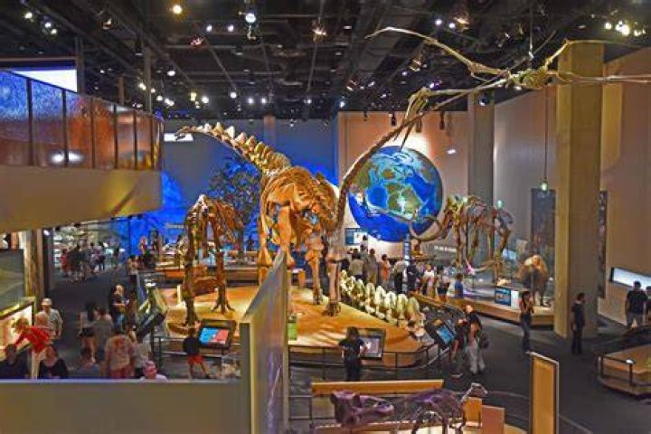How much time do you need at the Perot Museum