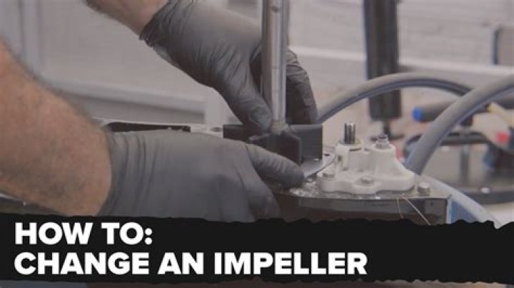 How often should you change outboard impeller