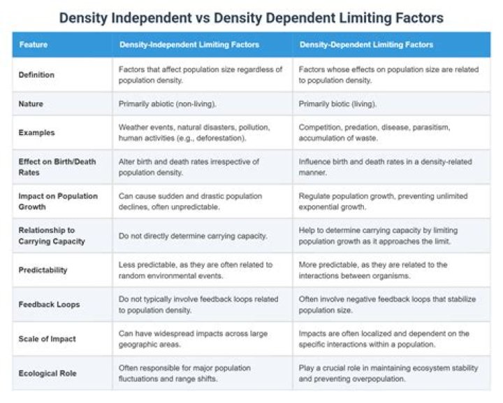 Is density size independent of size dependent