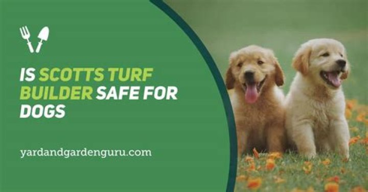 Is Scotts Turf Builder safe for pets and kids