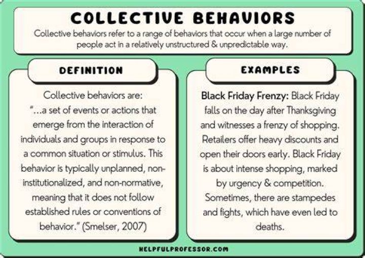 What are some examples of collective behavior