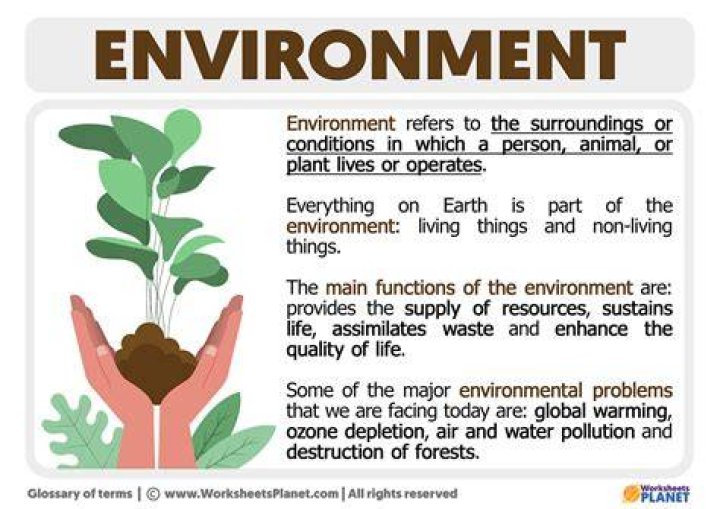 What are the 3 characteristics of environment