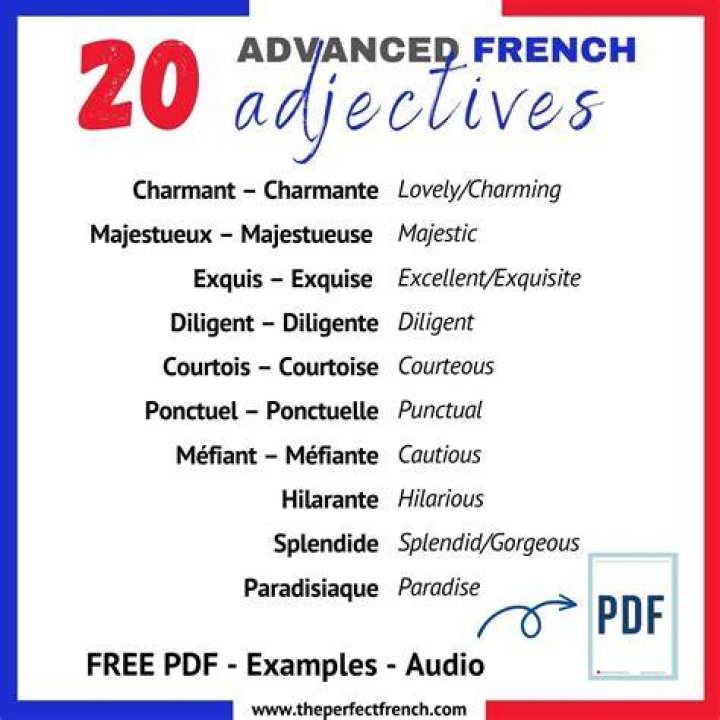 What are the 4 rules for adjectives in French