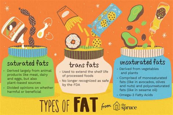 What are the characteristics of fats and oils