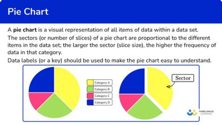 What does each slice on a pie chart represent