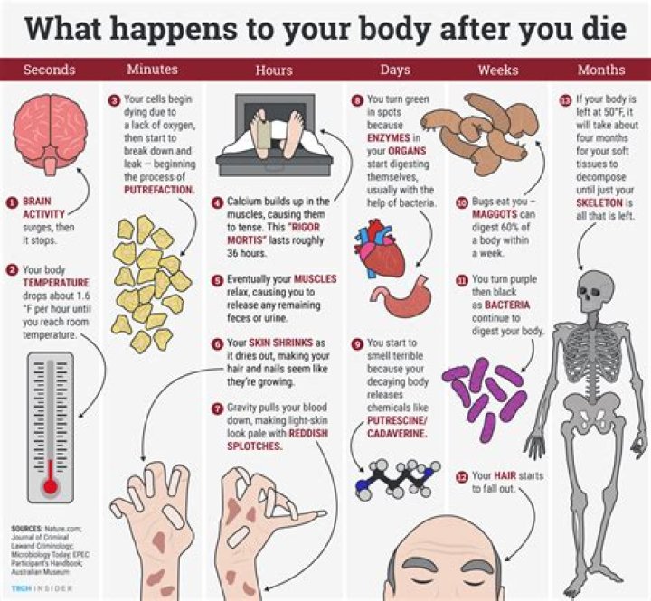 What happens to a prisoners body after death