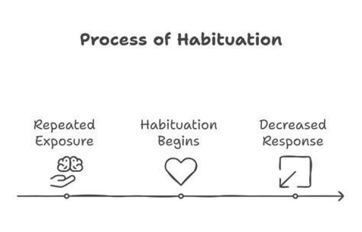 What is the habituation process in psychology