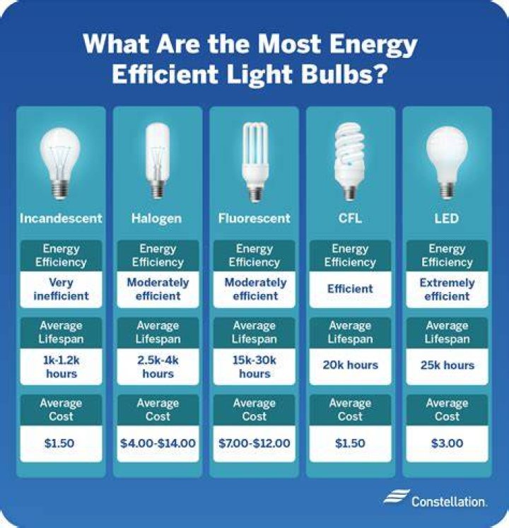 What is the most effective type of light bulb