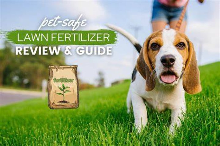 What kind of lawn fertilizer is safe for dogs