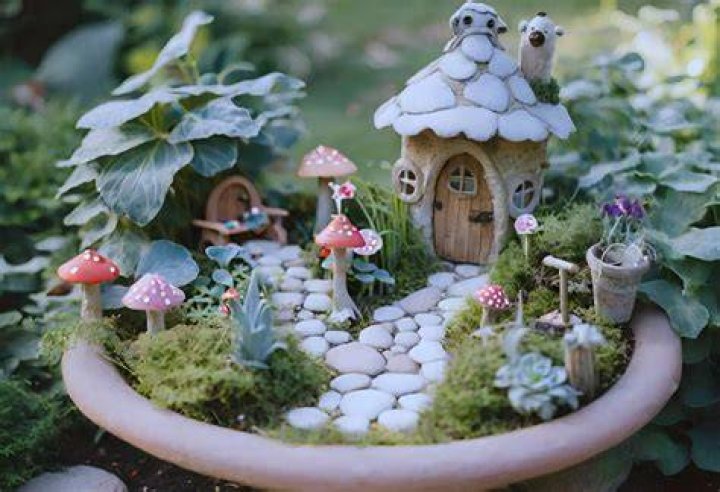 What kind of soil do you use for fairy garden