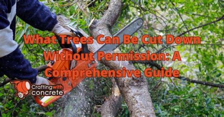 What trees can be cut down without permission