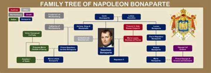 What was Napoleons most domestic achievement